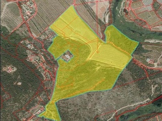 PARAJE EMBASTIDA O BASTIDA 13