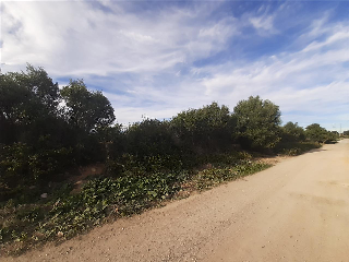Pisos banco Vendrell (El)