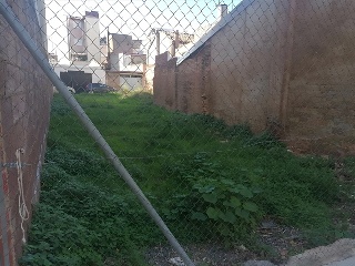 FORN DE GIL 5