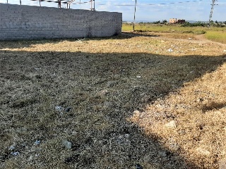 Pisos banco Carlet