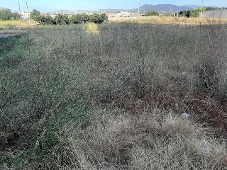 JAUME I 5