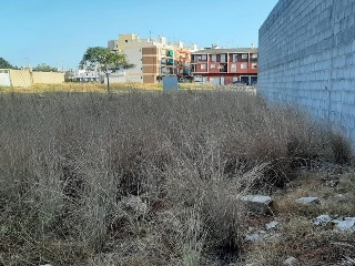 JAUME I 6
