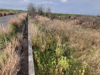 LA DAYA (POLIGONO 8). Parcela 2