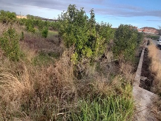 LA DAYA (POLIGONO 8). Parcela 5