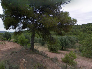 Pisos banco Estivella