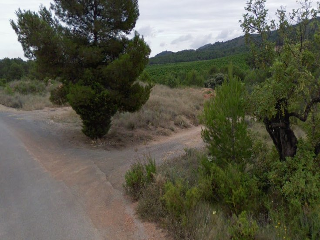 Paraje Del Pla 3
