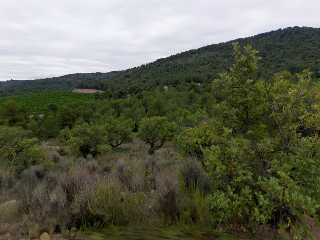 Paraje Del Pla 4