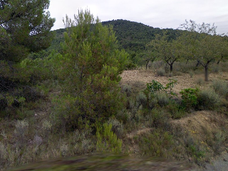 Paraje Del Pla 5