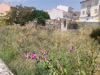 MAYOR 4