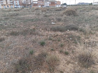 BALAFIA O SECA DE SANT PERE 4