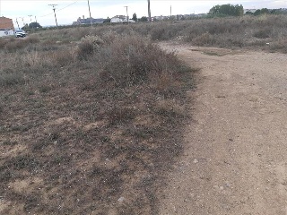 BALAFIA O SECA DE SANT PERE 5