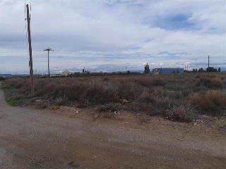 BALAFIA O SECA DE SANT PERE 6