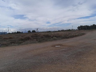 BALAFIA O SECA DE SANT PERE 8