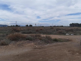 BALAFIA O SECA DE SANT PERE 9