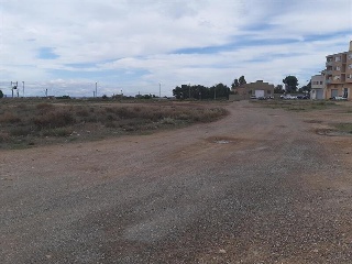 BALAFIA O SECA DE SANT PERE 10