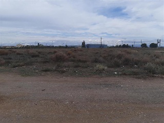 BALAFIA O SECA DE SANT PERE 11