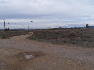 BALAFIA O SECA DE SANT PERE 12