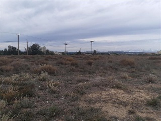 BALAFIA O SECA DE SANT PERE 15