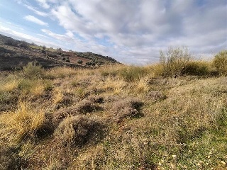 Pisos banco Anchuelo