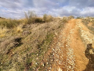 GUINDALERA, POLIGONO 9 PARCELA 5119 2