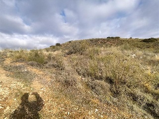 GUINDALERA, POLIGONO 9 PARCELA 5119 4