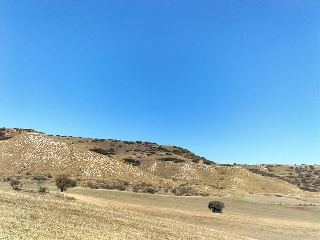 PARAJE DETRAS DE LA CASA, FINCA 55 2