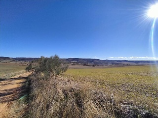 PARAJE DETRAS DE LA CASA, FINCA 55 3