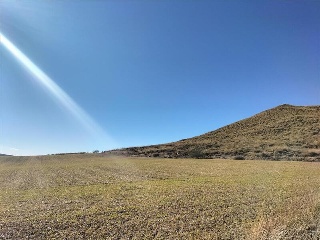 PARAJE DETRAS DE LA CASA, FINCA 55 4