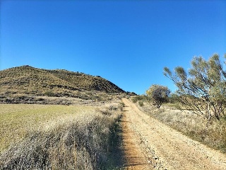 PARAJE DETRAS DE LA CASA, FINCA 55 5