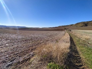 PARAJE CUSTODIA, Polígono 2, Parcela 32 2