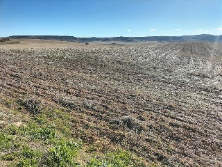 PARAJE CUSTODIA, Polígono 2, Parcela 32 4