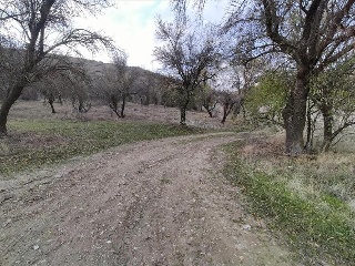 Pisos banco Villalbilla