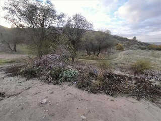 PARAJE EL ROBREDAL Y VALDELAGUILA, Polígono 1 Parcela 5499 3