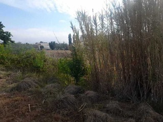 LA SERNA 2