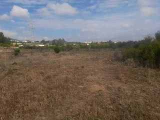 LA SERNA 3