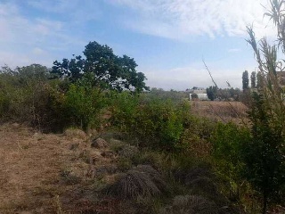 LA SERNA 5