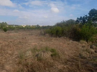LA SERNA 6