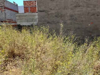 LOPE DE VEGA 2