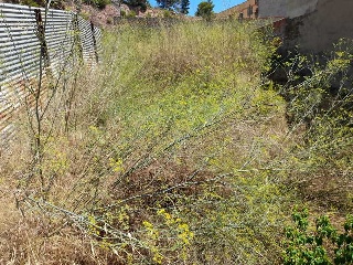 LOPE DE VEGA 3
