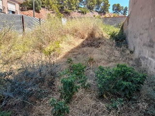 LOPE DE VEGA 4