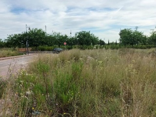 JOAN DE JOANES PARCELA 8.2 U.E.R-3 6