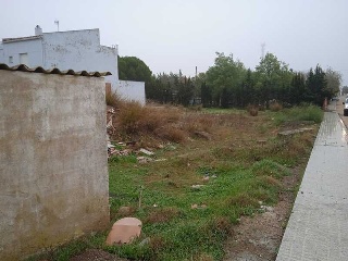 Paraje Los Canchales 8