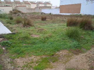 Paraje Los Canchales 9