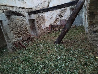 CARITAT 6