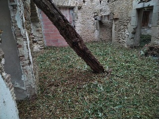 CARITAT 7