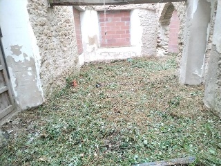 CARITAT 10
