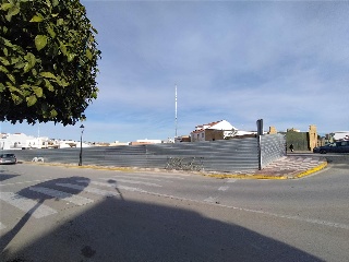 CERVANTES 6
