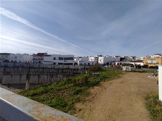 CERVANTES 11