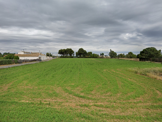 DS CR LOGROÑO TR DEL OLIVAR 2