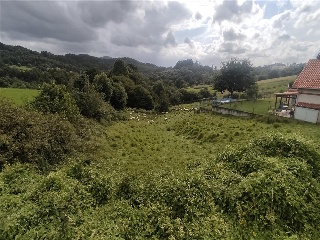 Otros en venta en Limpias